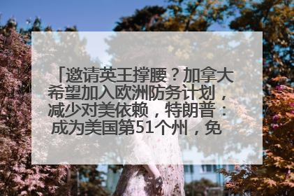 邀请英王撑腰？加拿大希望加入欧洲防务计划，减少对美依赖，特朗普：成为美国第51个州，免费用“金穹”