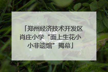郑州经济技术开发区肖庄小学“面上生花小小非遗馆”揭幕