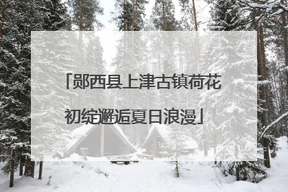 郧西县上津古镇荷花初绽邂逅夏日浪漫
