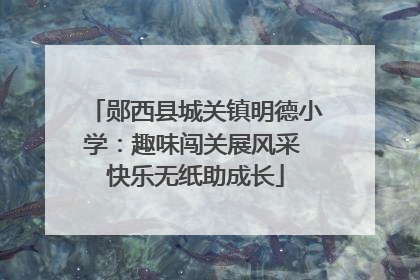 郧西县城关镇明德小学：趣味闯关展风采 快乐无纸助成长