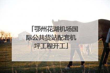 鄂州花湖机场国际公共货站配套机坪工程开工
