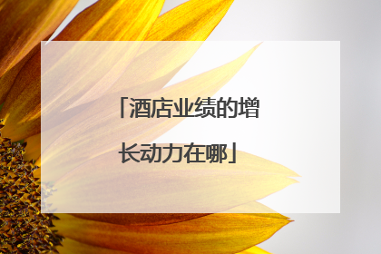 酒店业绩的增长动力在哪