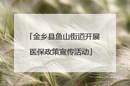 金乡县鱼山街道开展医保政策宣传活动