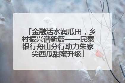 金融活水润瓜田，乡村振兴谱新篇——民泰银行舟山分行助力朱家尖西瓜甜蜜升级
