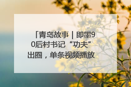 青岛故事｜即墨90后村书记“功夫”出圈，单条视频播放量过600万