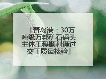 青岛港：30万吨级万邦矿石码头主体工程顺利通过交工质量核验