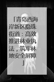 青岛西海岸新区隐珠街道：高效推进林业执法，筑牢林地安全屏障