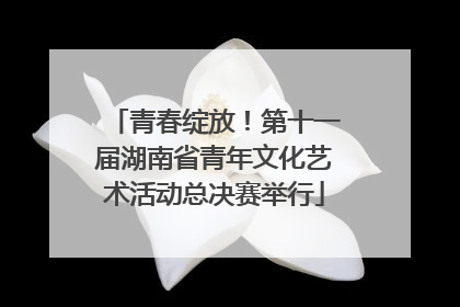 青春绽放！第十一届湖南省青年文化艺术活动总决赛举行