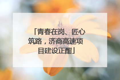 青春在岗、匠心筑路，济商高速项目建设正酣