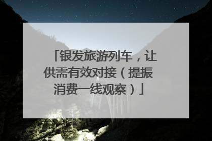 银发旅游列车，让供需有效对接（提振消费一线观察）