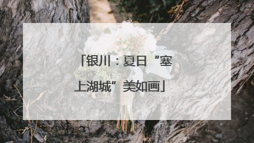 银川：夏日“塞上湖城”美如画