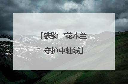 铁骑“花木兰”守护中轴线