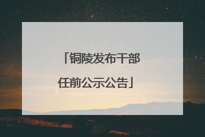 铜陵发布干部任前公示公告