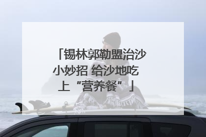 锡林郭勒盟治沙小妙招 给沙地吃上“营养餐”
