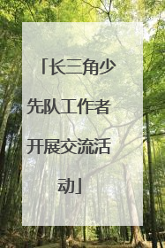 长三角少先队工作者开展交流活动