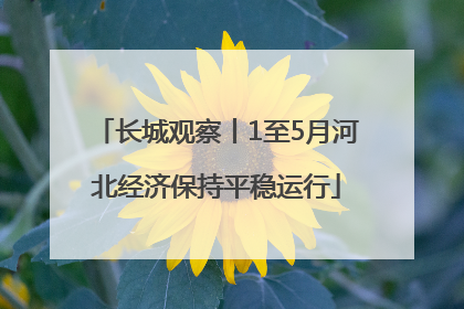 长城观察丨1至5月河北经济保持平稳运行