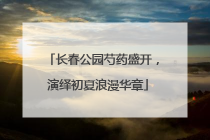 长春公园芍药盛开，演绎初夏浪漫华章