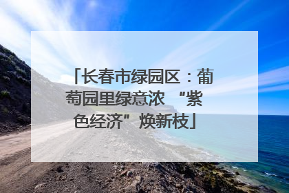 长春市绿园区：葡萄园里绿意浓 “紫色经济”焕新枝