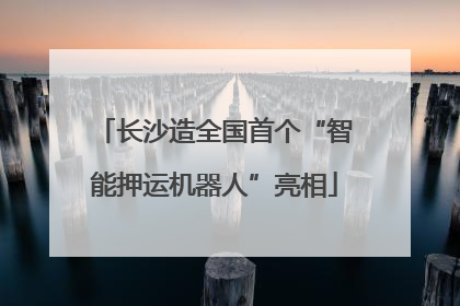 长沙造全国首个“智能押运机器人”亮相