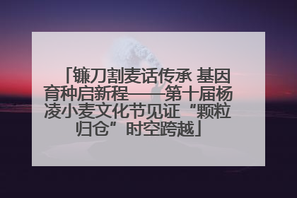镰刀割麦话传承 基因育种启新程——第十届杨凌小麦文化节见证“颗粒归仓”时空跨越