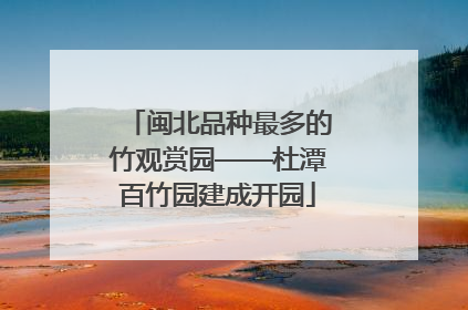 闽北品种最多的竹观赏园——杜潭百竹园建成开园
