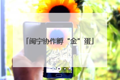 闽宁协作孵“金”蛋