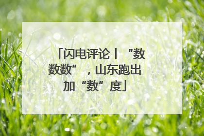 闪电评论丨“数数数”，山东跑出加“数”度