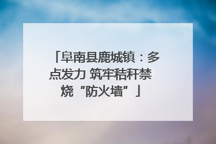 阜南县鹿城镇：多点发力 筑牢秸秆禁烧“防火墙”
