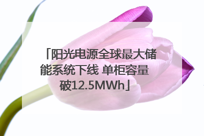 阳光电源全球最大储能系统下线 单柜容量破12.5MWh