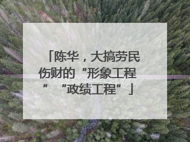 陈华，大搞劳民伤财的“形象工程”“政绩工程”