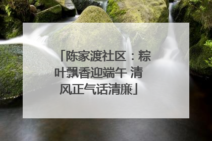 陈家渡社区：粽叶飘香迎端午 清风正气话清廉
