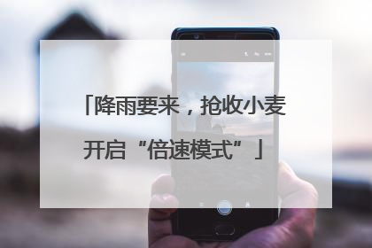 降雨要来，抢收小麦开启“倍速模式”