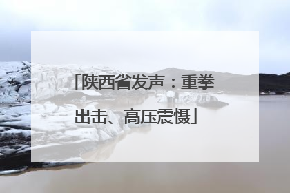 陕西省发声：重拳出击、高压震慑