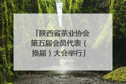 陕西省茶业协会第五届会员代表（换届）大会举行