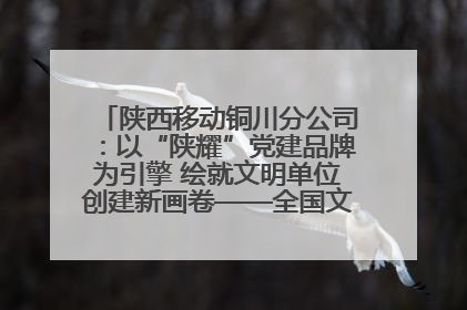 陕西移动铜川分公司：以“陕耀”党建品牌为引擎 绘就文明单位创建新画卷——全国文明单位创建纪实