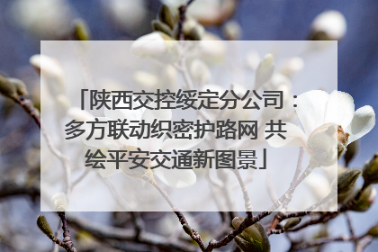 陕西交控绥定分公司：多方联动织密护路网 共绘平安交通新图景
