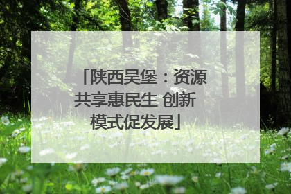 陕西吴堡：资源共享惠民生 创新模式促发展