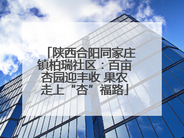 陕西合阳同家庄镇柏瑞社区：百亩杏园迎丰收 果农走上“杏”福路