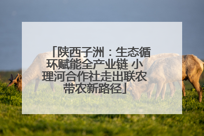 陕西子洲：生态循环赋能全产业链 小理河合作社走出联农带农新路径