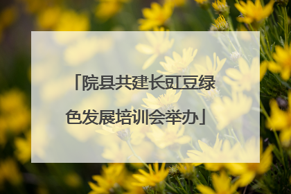 院县共建长豇豆绿色发展培训会举办