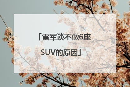 雷军谈不做6座SUV的原因