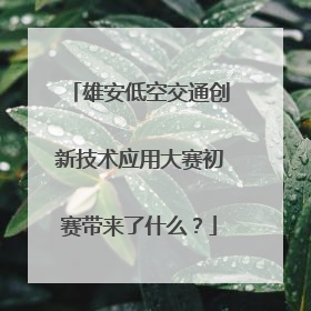 雄安低空交通创新技术应用大赛初赛带来了什么？