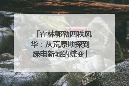 霍林郭勒四秩风华：从荒原勘探到绿电新城的蝶变