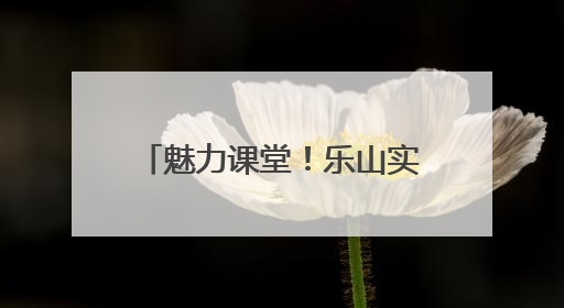 魅力课堂！乐山实验小学让课堂成为连接家校的桥梁