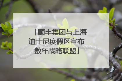 顺丰集团与上海迪士尼度假区宣布数年战略联盟
