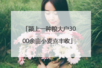 颍上一种粮大户3000余亩小麦喜丰收