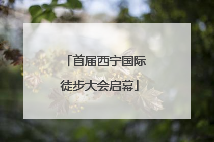 首届西宁国际徒步大会启幕