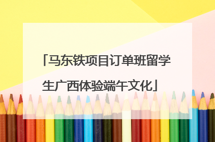 马东铁项目订单班留学生广西体验端午文化
