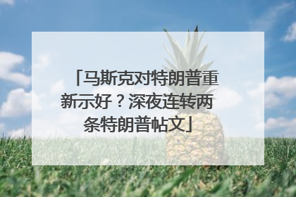 马斯克对特朗普重新示好？深夜连转两条特朗普帖文
