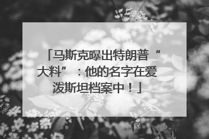 马斯克曝出特朗普“大料”：他的名字在爱泼斯坦档案中！